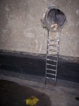http://www.christinegiffen.com/files/gimgs/th-2_Secret Lives of Drain Pipes 2_v2.jpg
